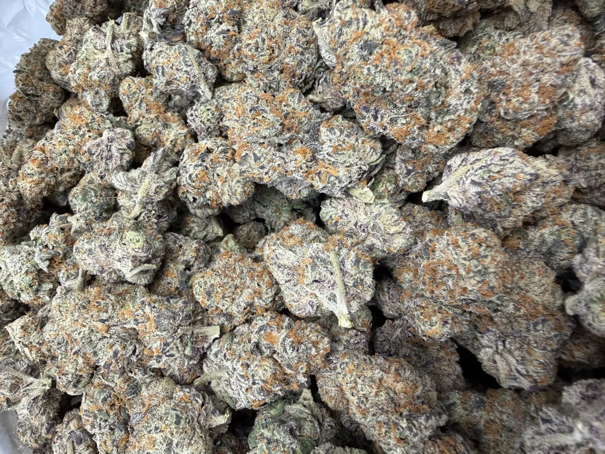 Northern Lights Flower